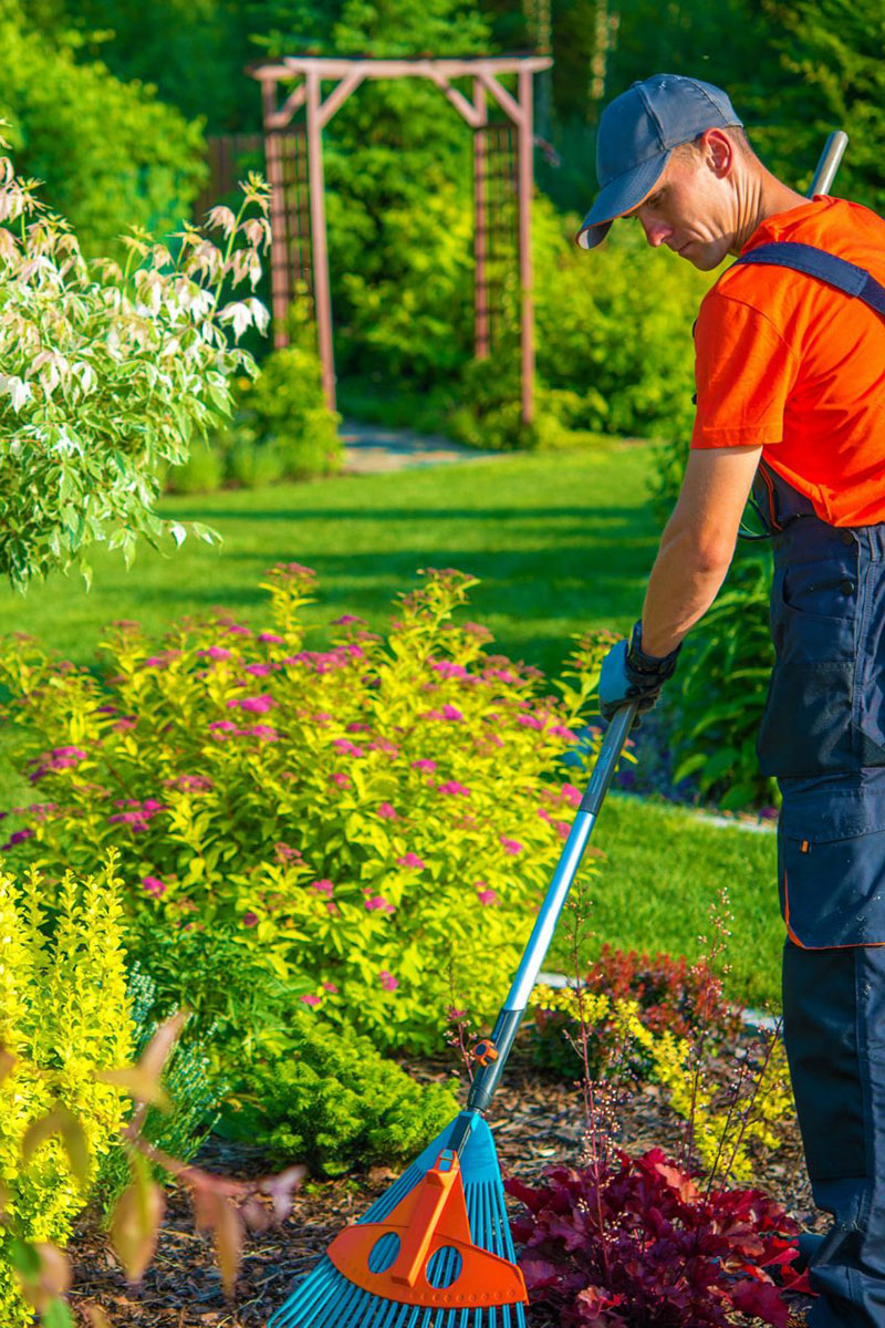Garden Maintenance