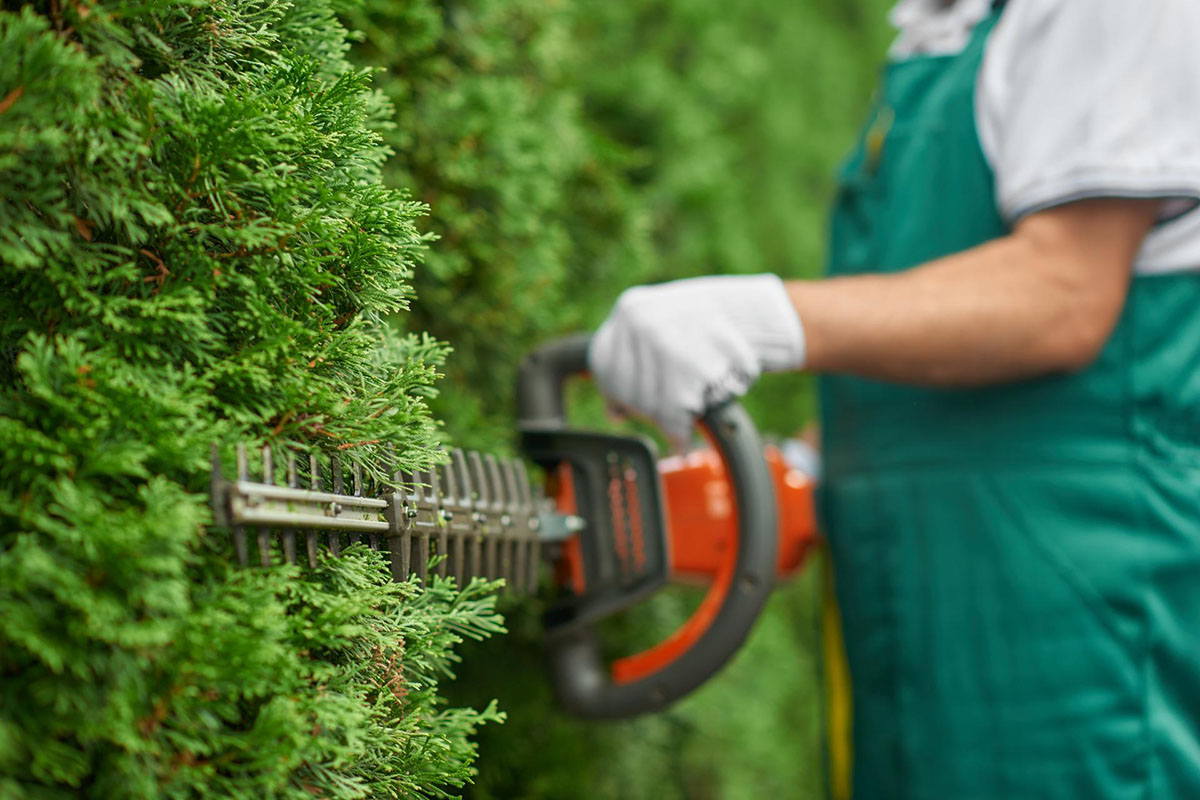 Hedging