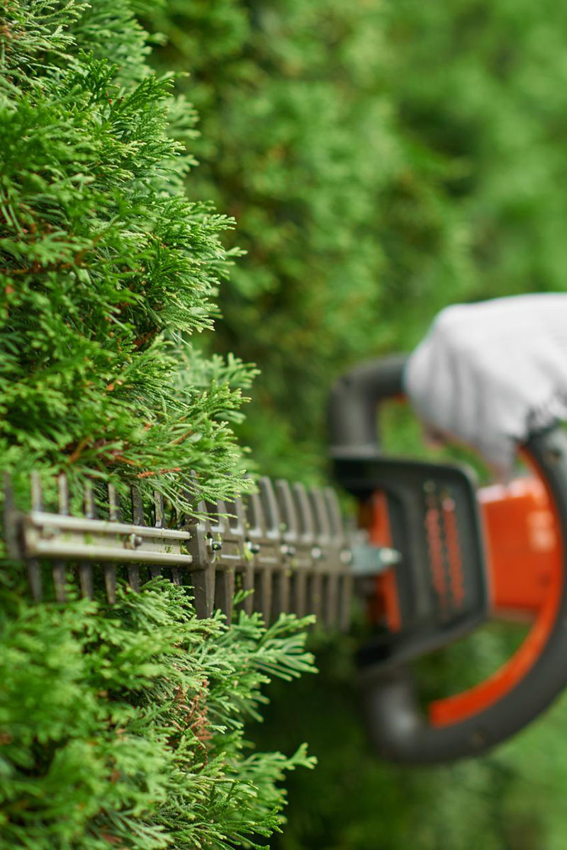 Hedging
