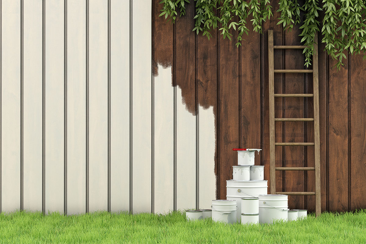 Garden Fence Painting