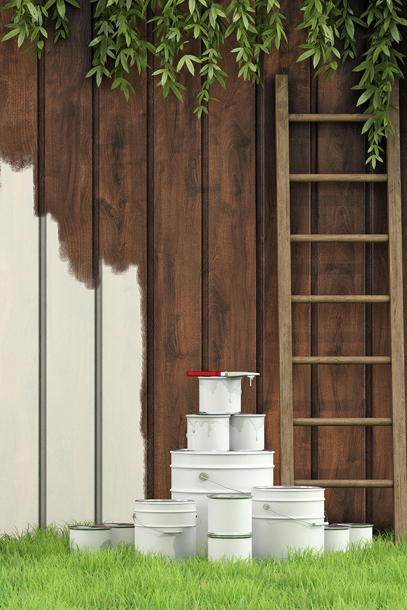 Garden Fence Painting